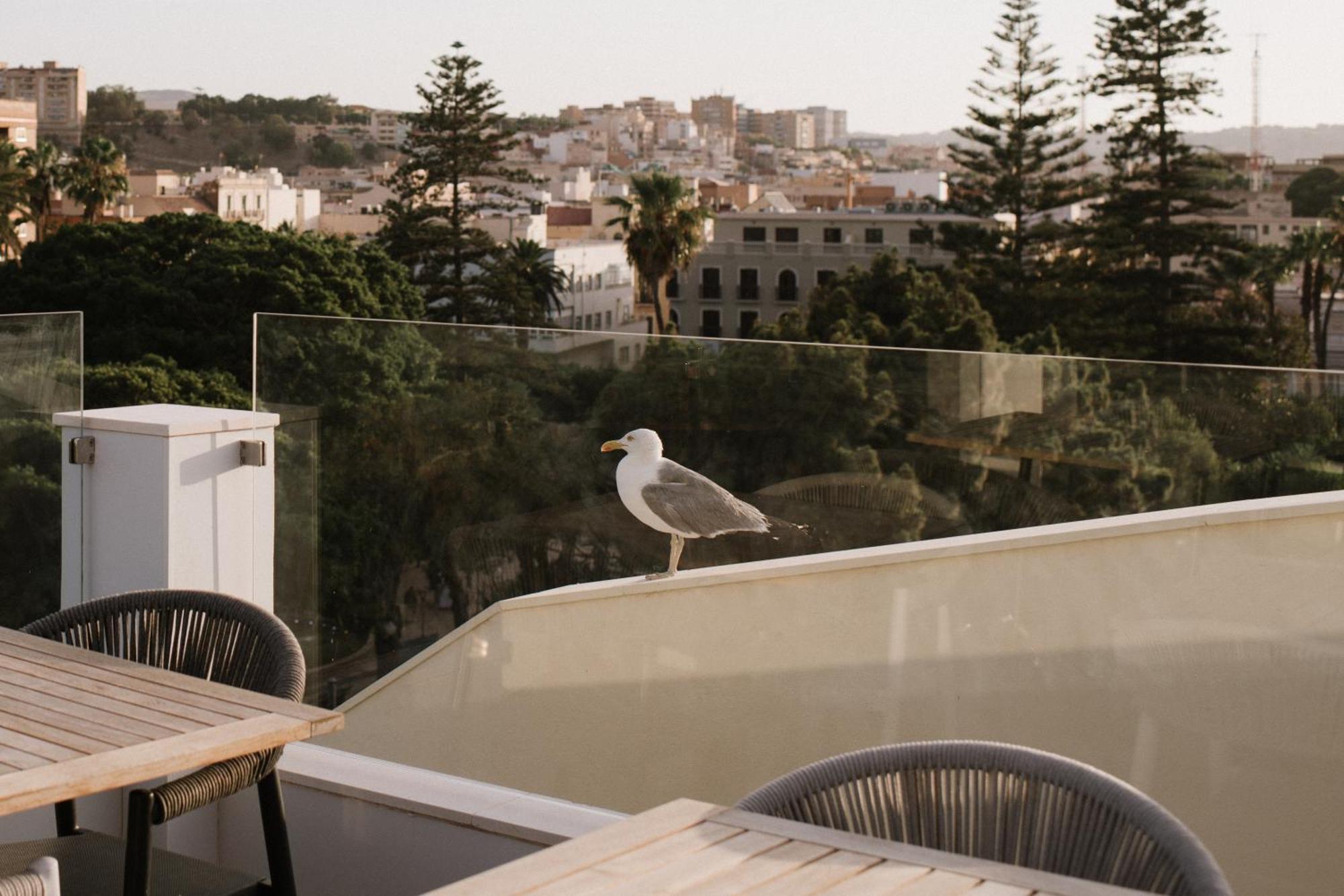 Hotel Melilla Centro Zewnętrze zdjęcie